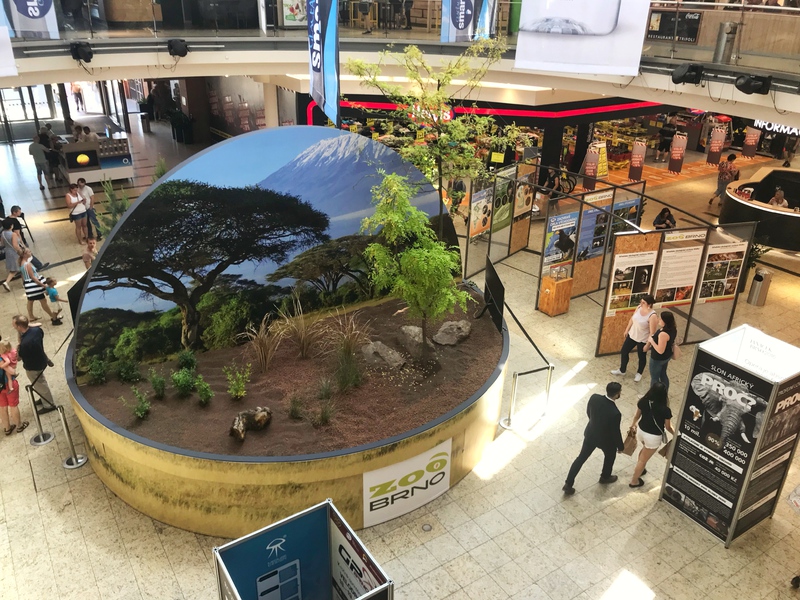 Přivedli jsme divou zvěř do brněnské galerie