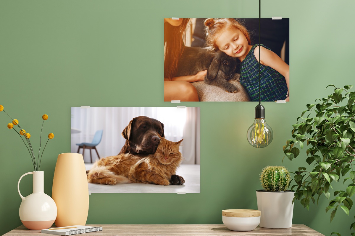 Jak fotoplakátem zkrášlit domov?