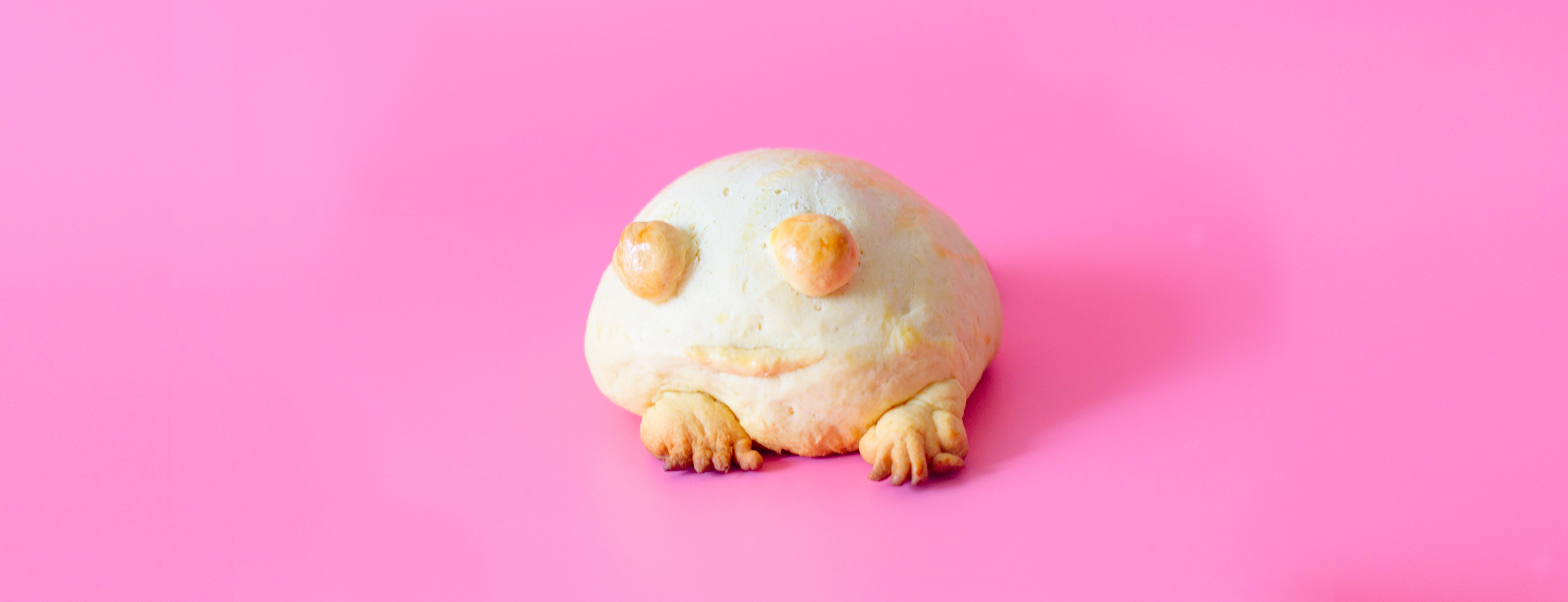 Snězte tu žábu aneb jak si poradit s diplomkou